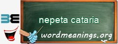 WordMeaning blackboard for nepeta cataria